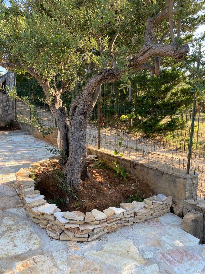 Villa L'Orizzonte Di Calabianca Castellammare del Golfo Buitenkant foto
