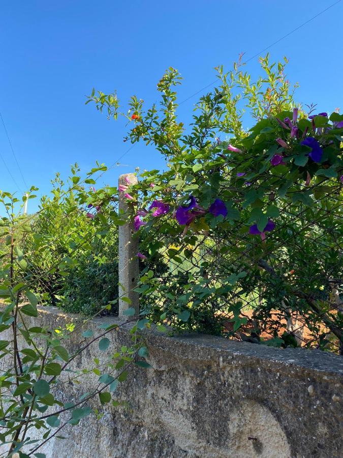 Villa L'Orizzonte Di Calabianca Castellammare del Golfo Buitenkant foto