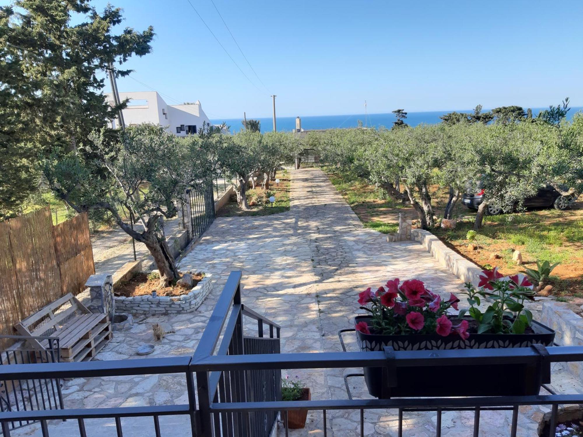 Villa L'Orizzonte Di Calabianca Castellammare del Golfo Buitenkant foto