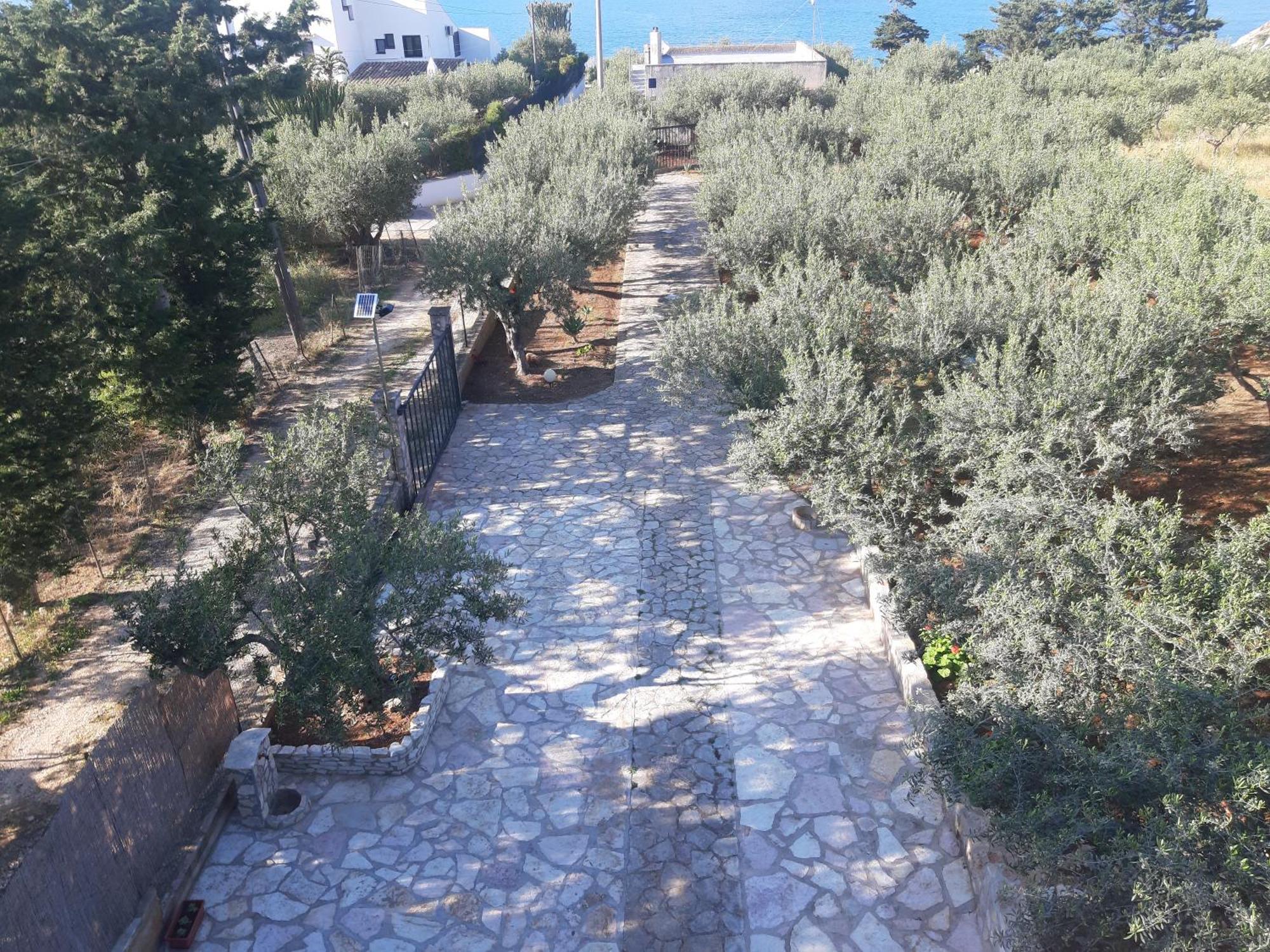 Villa L'Orizzonte Di Calabianca Castellammare del Golfo Buitenkant foto